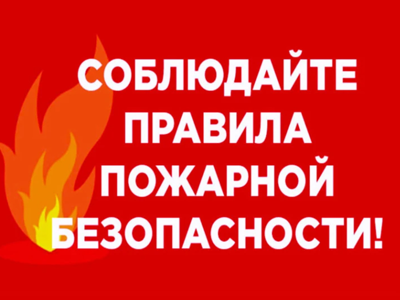 Памятка по пожарной безопасности в весенне-летний период.