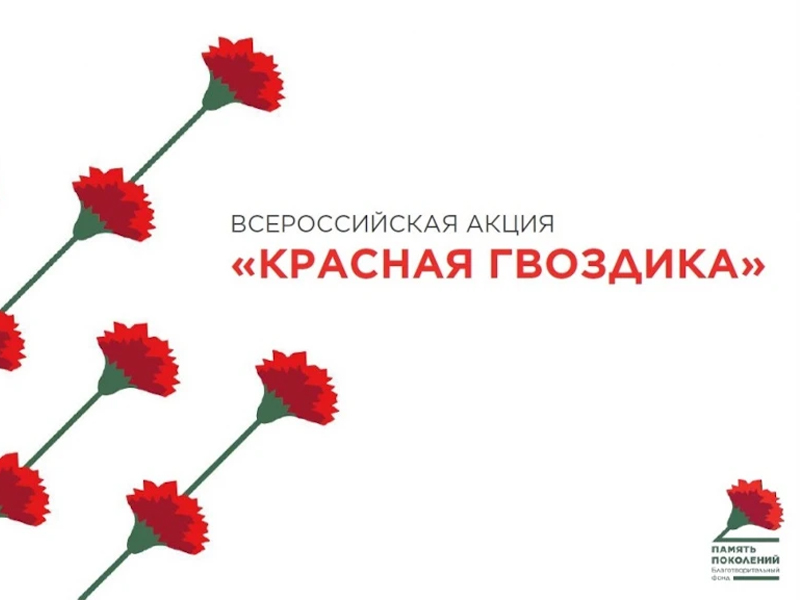 Акция «Красная гвоздика».