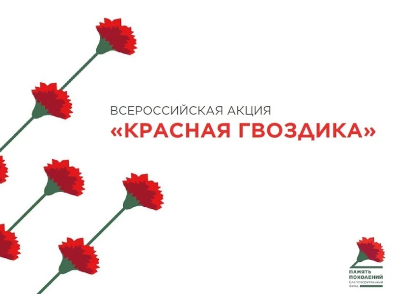 Акция «Красная гвоздика».