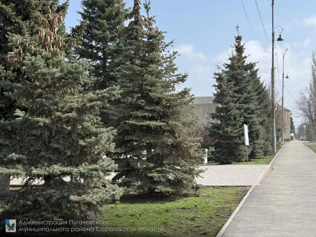 Метеорологическая обстановка, прогноз опасных и неблагоприятных метеорологических явлений.