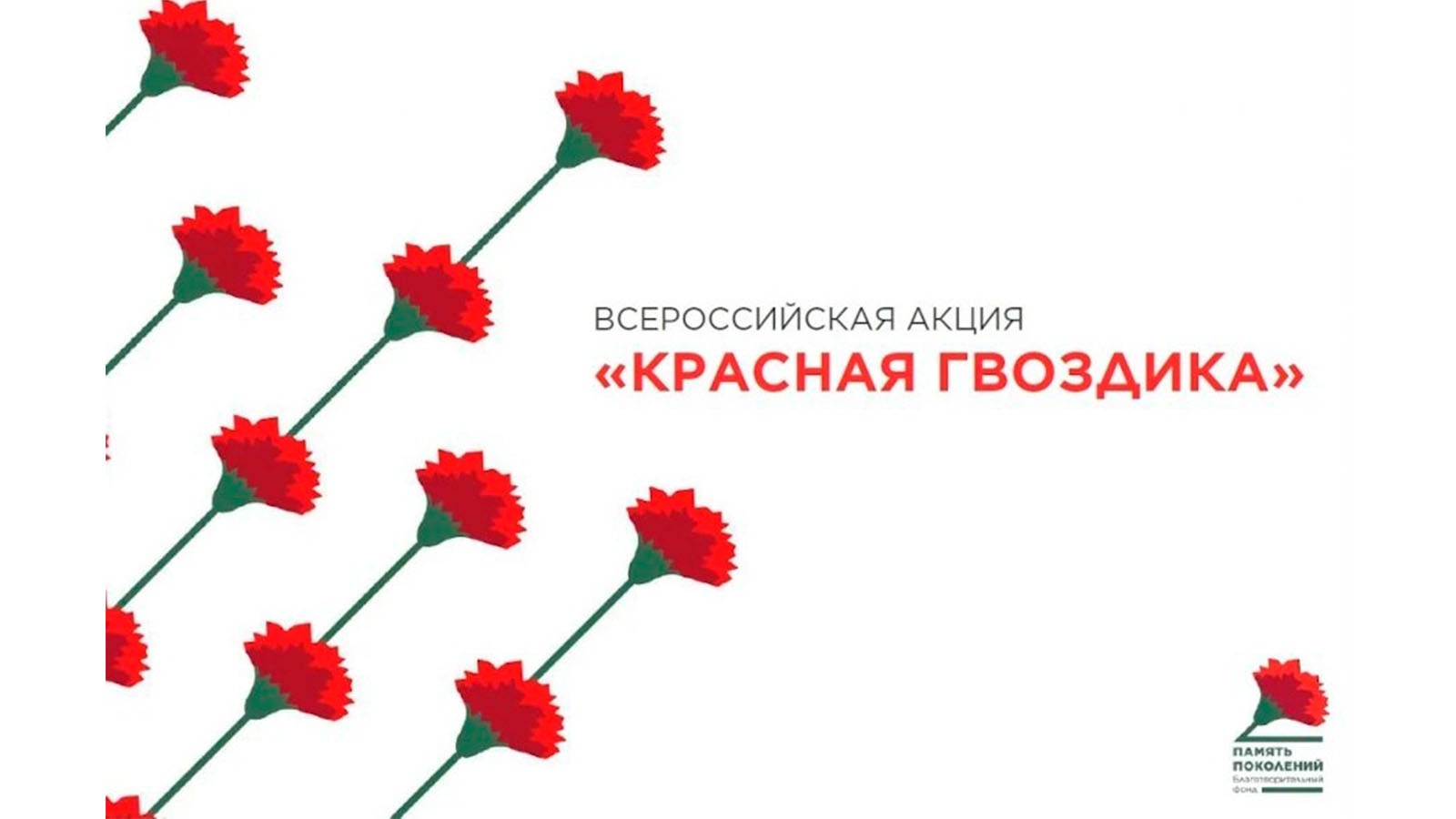 Акция «Красная гвоздика».