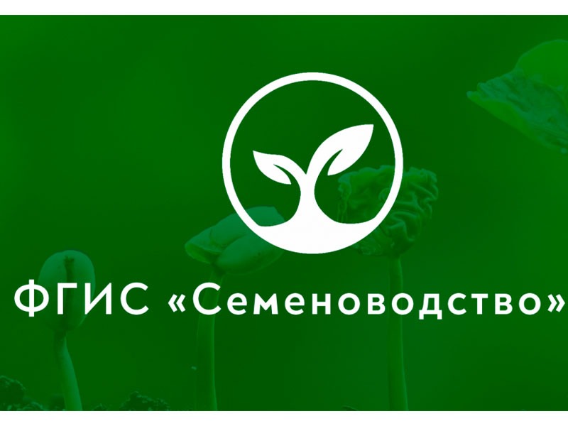 Всё, что нужно знать о проверке семян и ФГИС «Семеноводство».