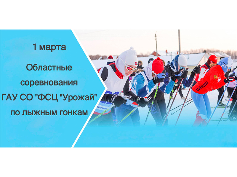 Областные соревнования по лыжным гонкам.