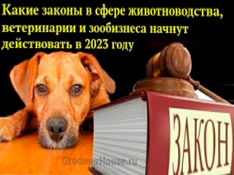 Компенсацию получат не все.