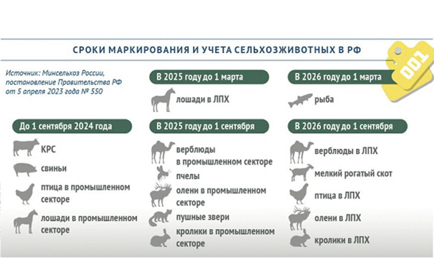 До какого срока нужно промаркировать коров, свиней и кур в России.