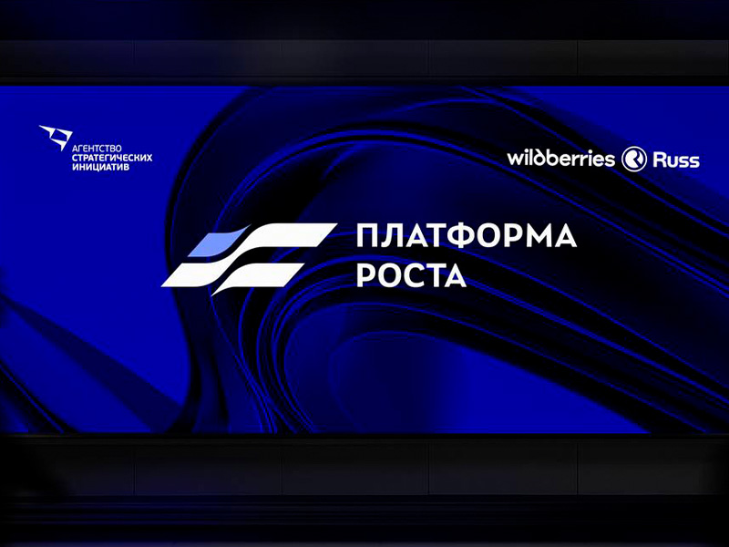 Саратовские предприниматели приглашаются к участию в проекте «Платформа роста».