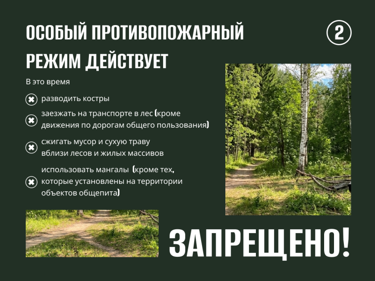 С 15 мая в Саратовской области будет действовать особый противопожарный режим..